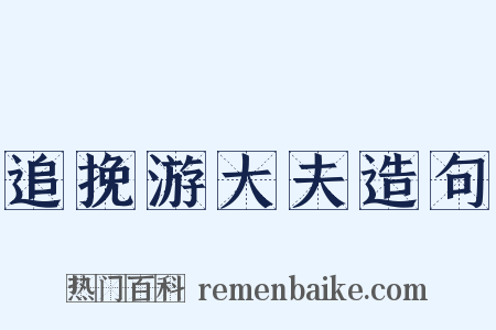 追挽游大夫造句是什么意思的图片